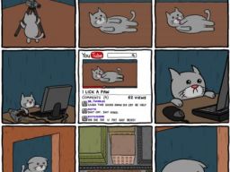 Viral Video Cat Aspirations
