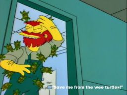 "Save the wee turtles!", -"Bart's Girlfriend"