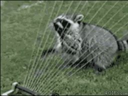 And Now, I Shall Play You The Song Of My People http://bit.ly/XjFKHR